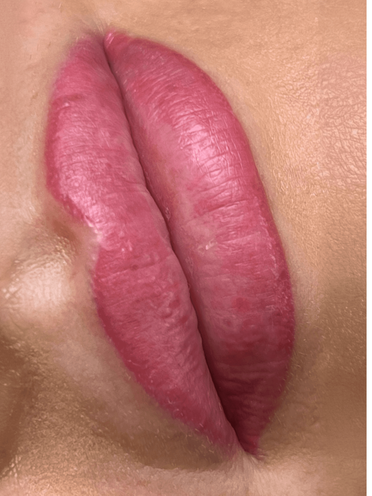 PMU · usta — pełen pigment, stan przed zabiegiem usuwania